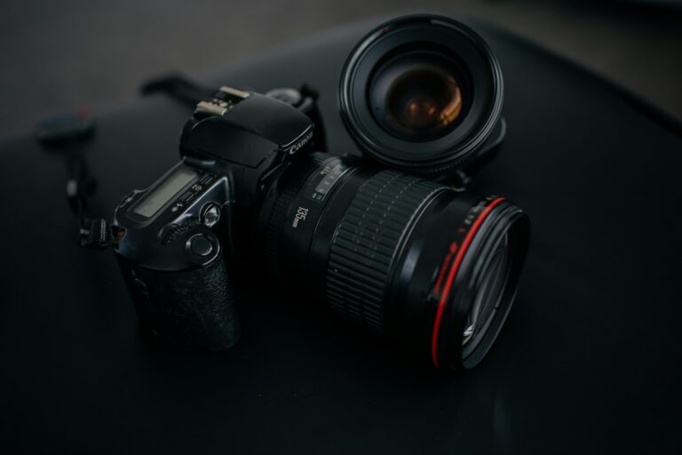 Ghidul complet pentru începători în fotografie: cum să faci poze uimitoare cu telefonul tău