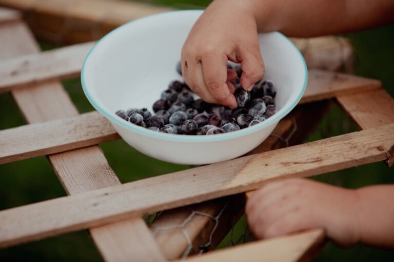 Cum să nu mai cedezi în fața tentațiilor alimentare