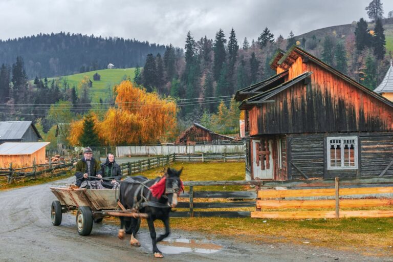 Stiati ca despre România
