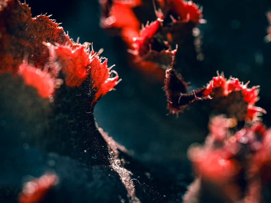 Photo health maintenance