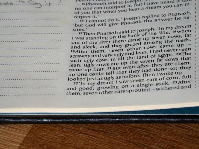 Ce înseamnă visul cu întoarcerea în trecut