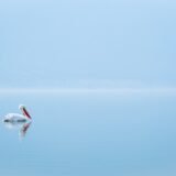 Photo clarity