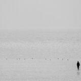 Photo introspection