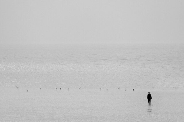 Photo introspection