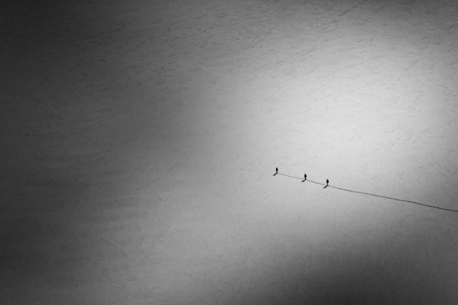 Photo trust